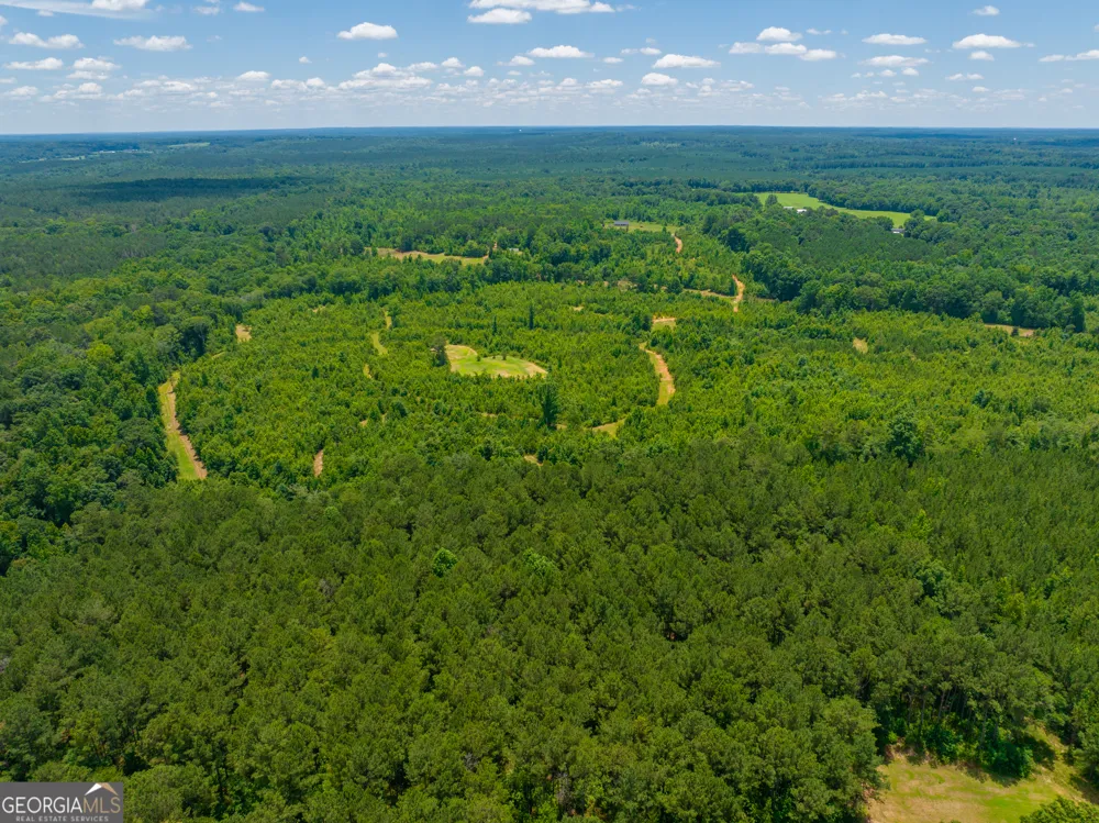 29.3 ACRES Cochran RD Madison, GA 30650