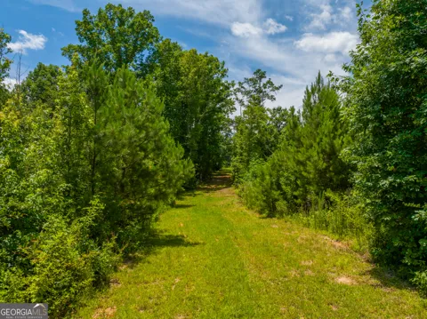 29.3 ACRES Cochran RD