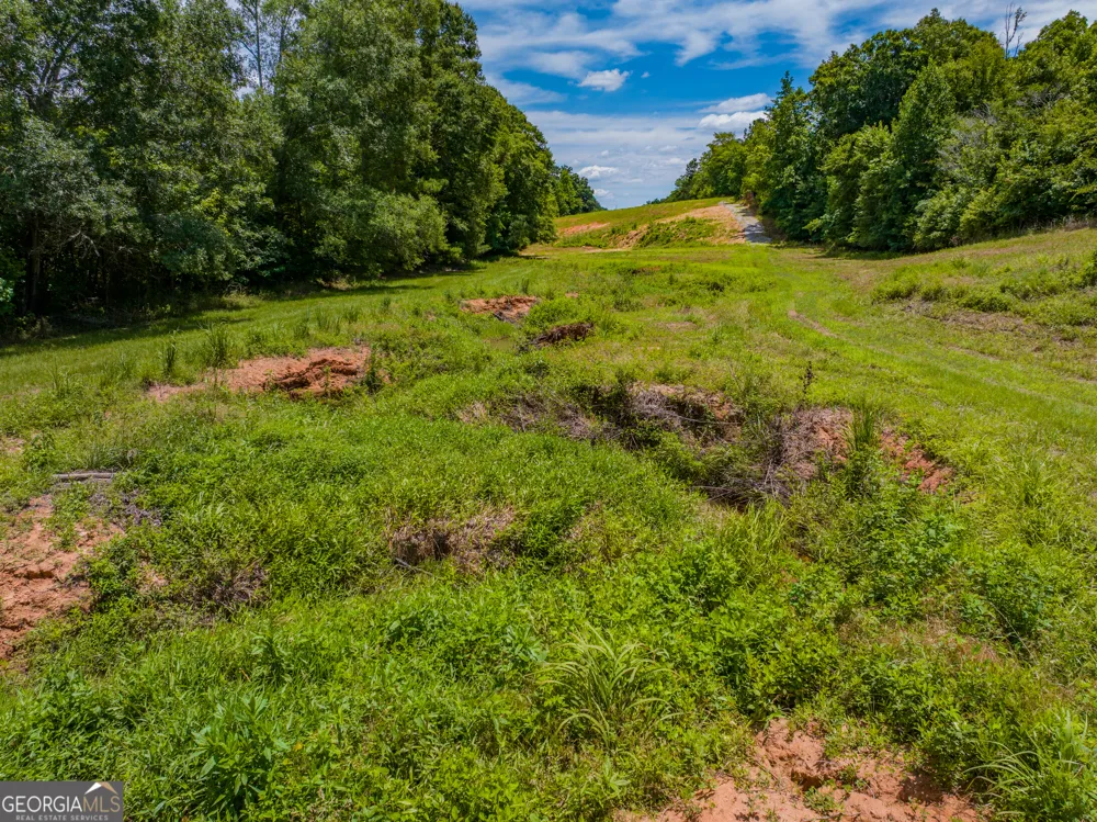 29.3 ACRES Cochran RD Madison, GA 30650