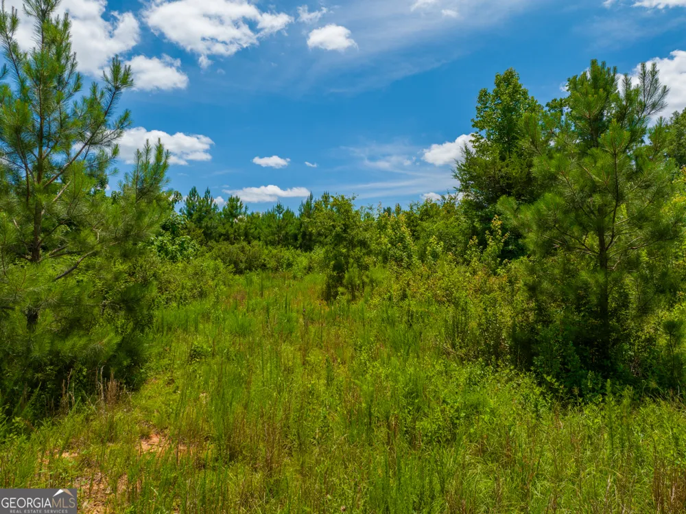 21.4 ACRES Cochran RD Madison, GA 30650
