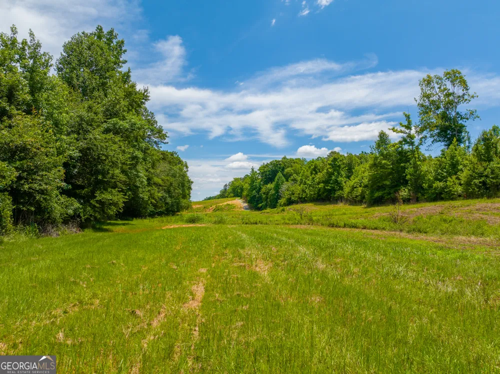 21.4 ACRES Cochran RD Madison, GA 30650