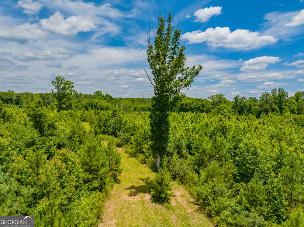 21.4 ACRES Cochran RD Madison, GA 30650