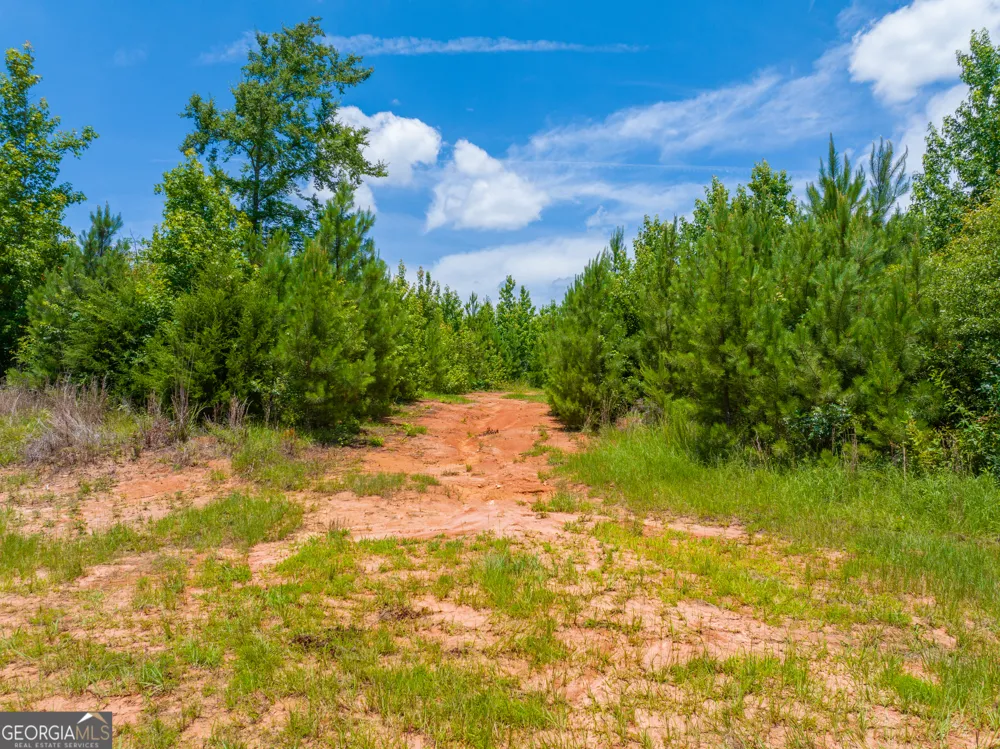 21.4 ACRES Cochran RD Madison, GA 30650