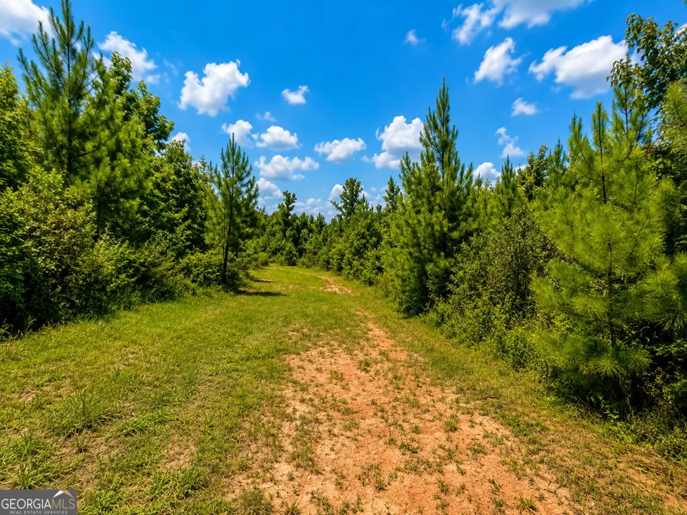 0 Cochran RD Madison, GA 30650