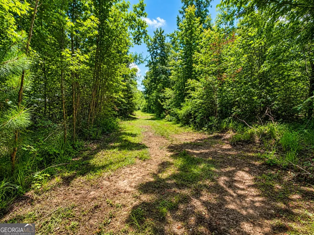 0 Cochran RD Madison, GA 30650