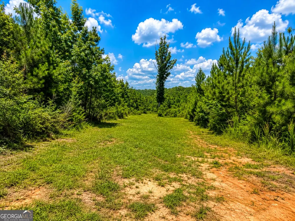 0 Cochran RD Madison, GA 30650