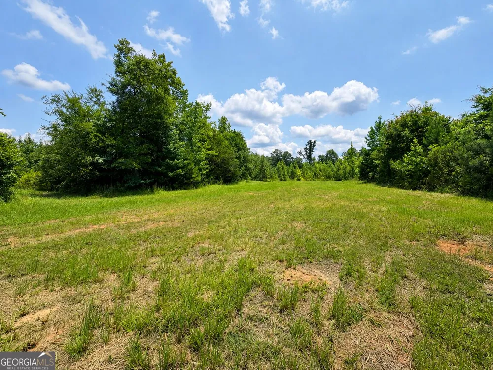 0 Cochran RD Madison, GA 30650