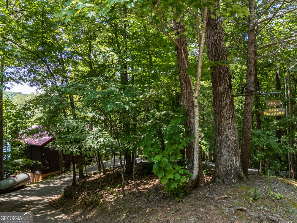 659 Lonesome Pine RD Murphy, NC 28906