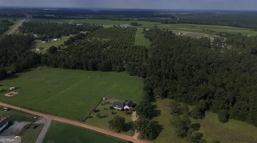 247 Darrell Thompson RD Lyons, GA 30436
