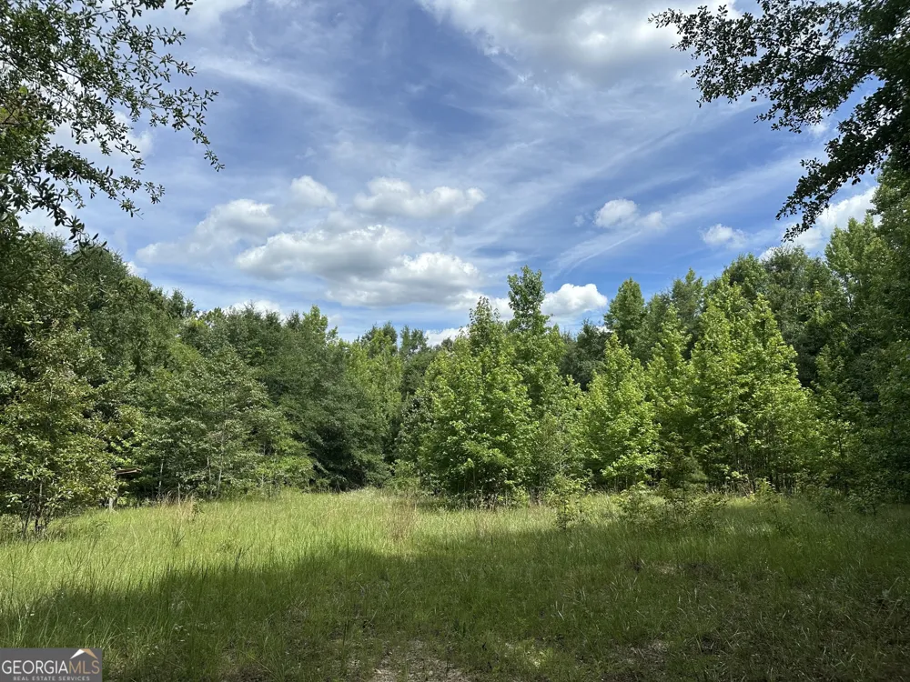 699 GA Highway 96 Irwinton, GA 31042