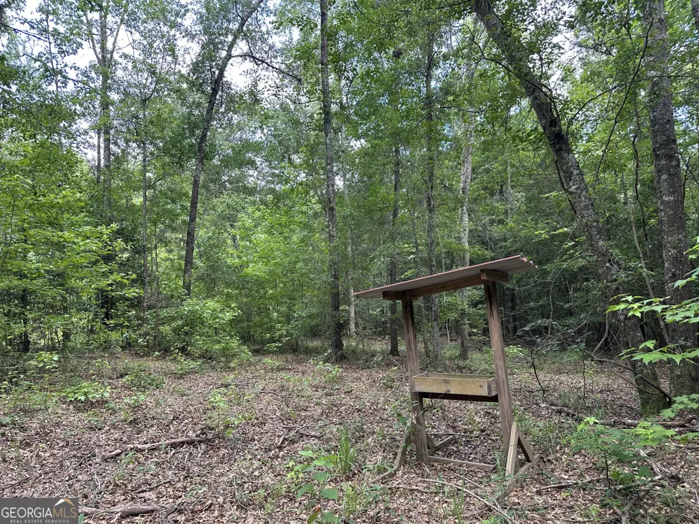 699 GA Highway 96 Irwinton, GA 31042