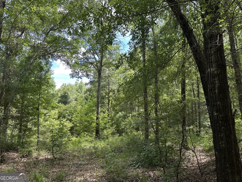 699 GA Highway 96 Irwinton, GA 31042