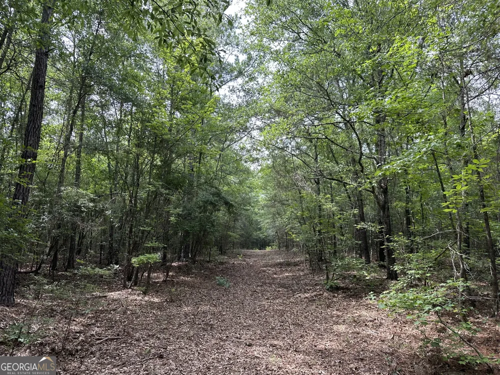 699 GA Highway 96 Irwinton, GA 31042