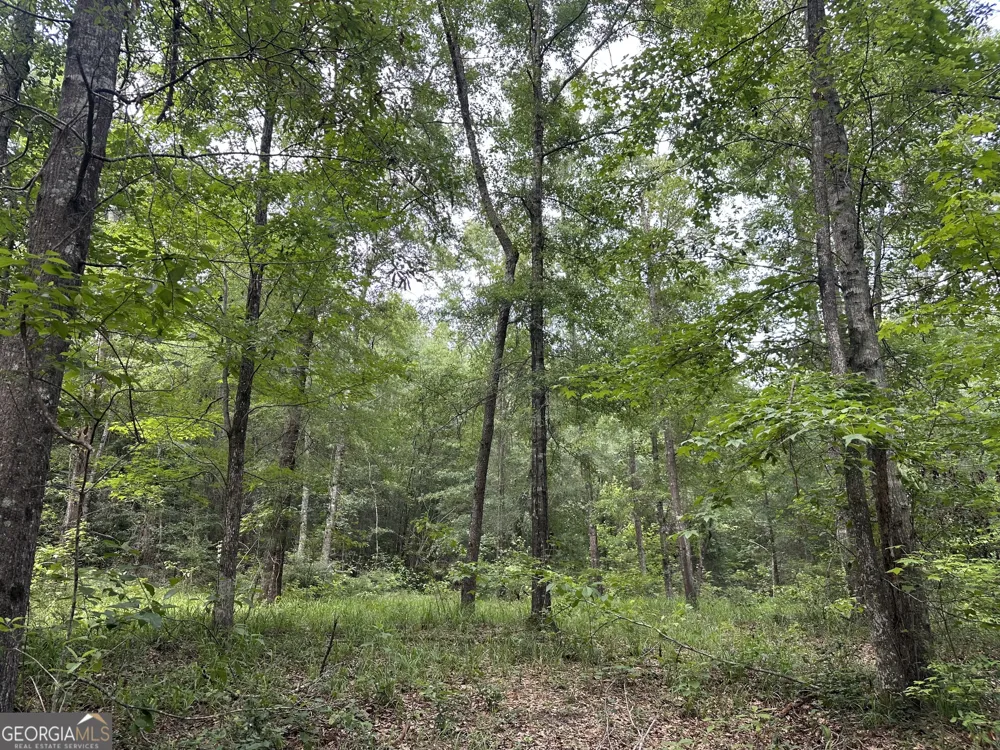 699 GA Highway 96 Irwinton, GA 31042
