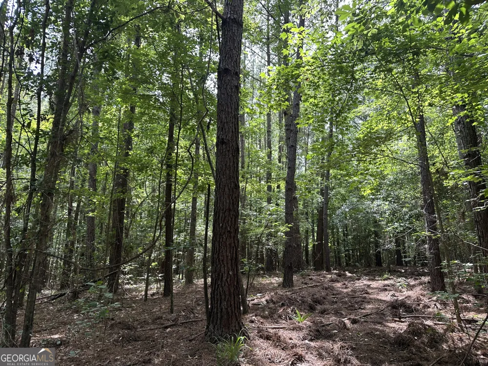 699 GA Highway 96 Irwinton, GA 31042