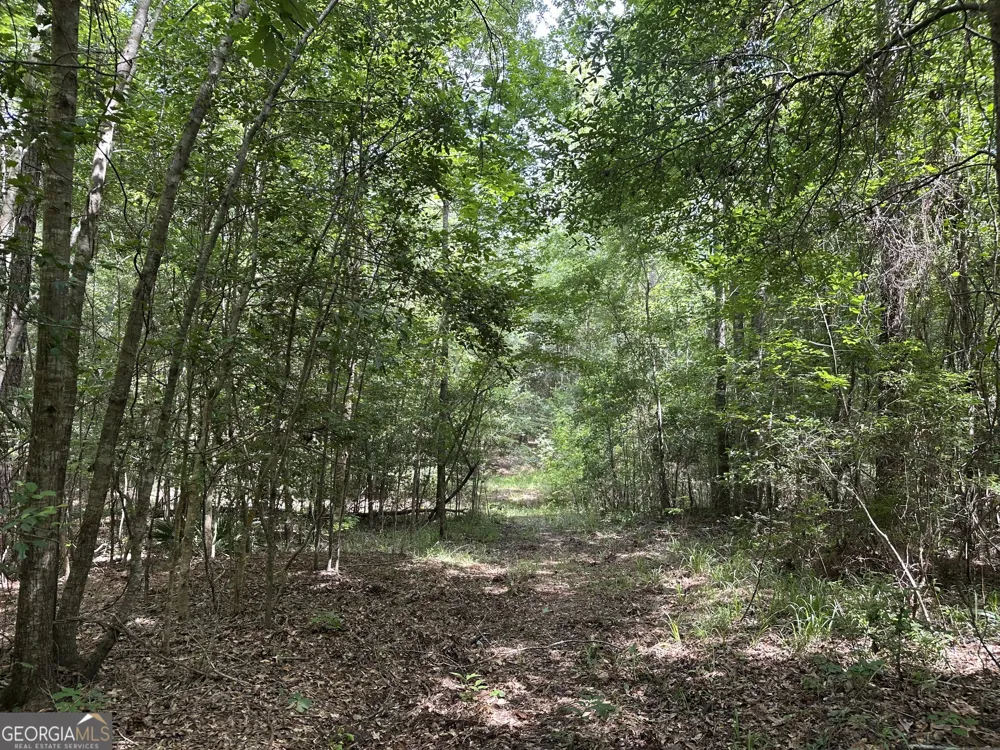 699 GA Highway 96 Irwinton, GA 31042