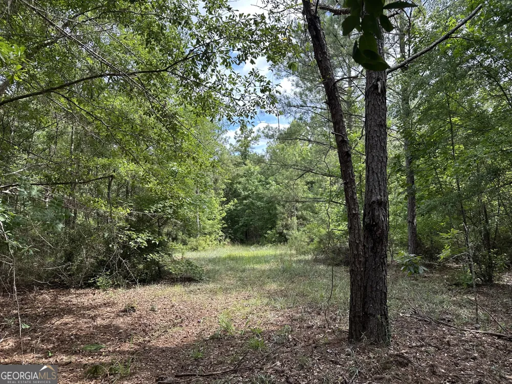 699 GA Highway 96 Irwinton, GA 31042