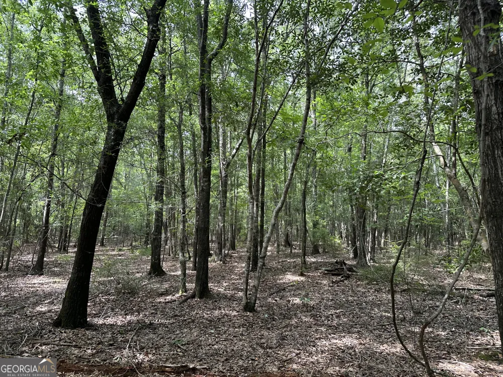 699 GA Highway 96 Irwinton, GA 31042