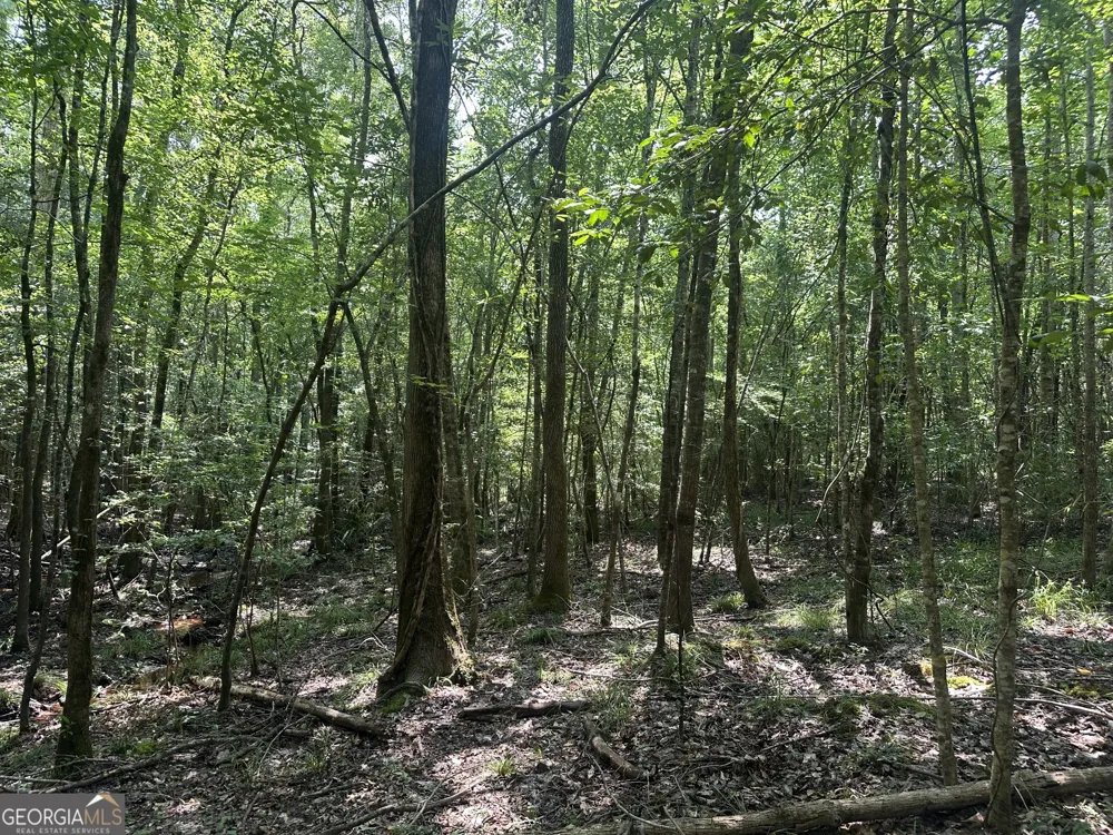 699 GA Highway 96 Irwinton, GA 31042