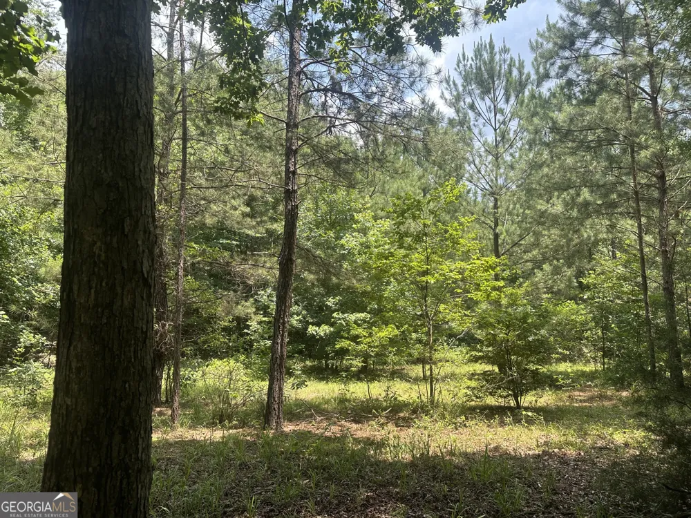 699 GA Highway 96 Irwinton, GA 31042