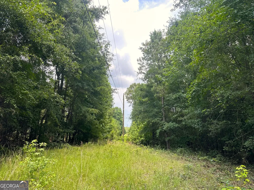 699 GA Highway 96 Irwinton, GA 31042