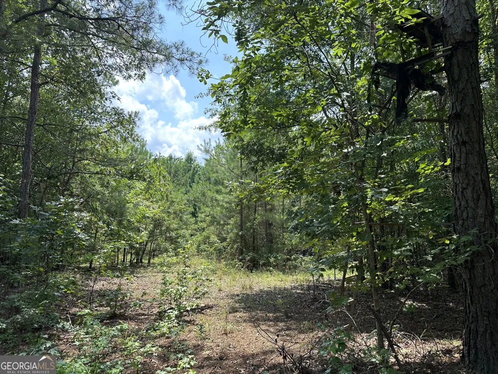 699 GA Highway 96 Irwinton, GA 31042