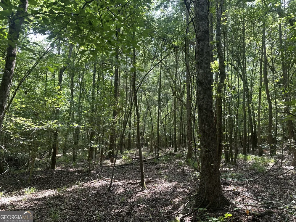 699 GA Highway 96 Irwinton, GA 31042