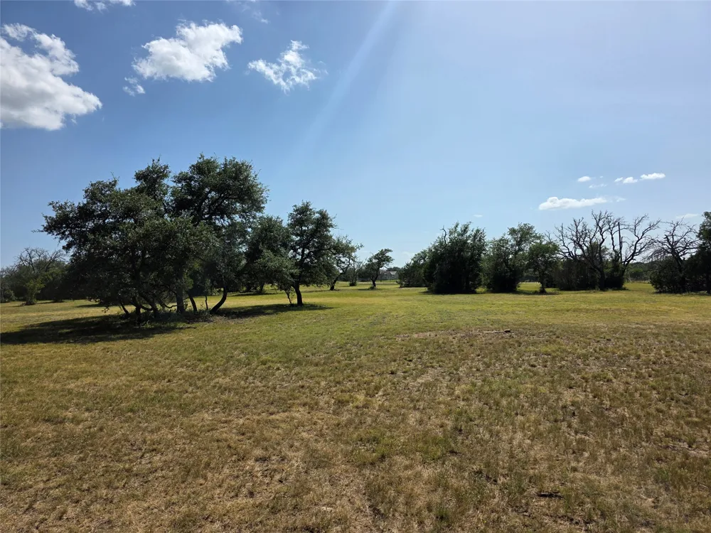 237 Oak Glen Lane Briggs, TX 78608