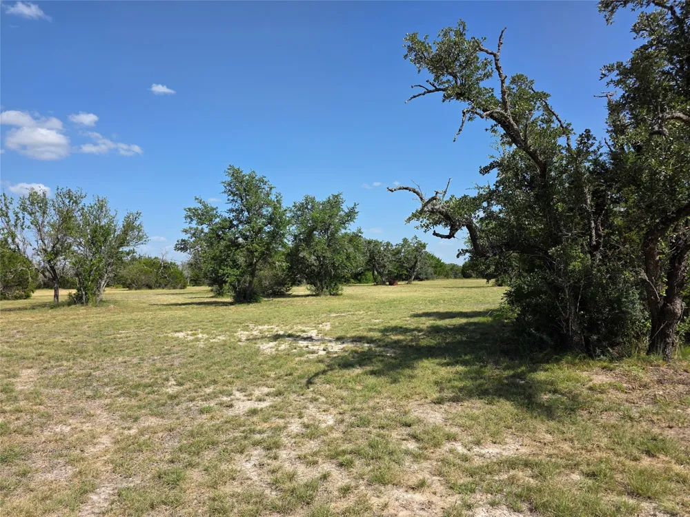 237 Oak Glen Lane Briggs, TX 78608