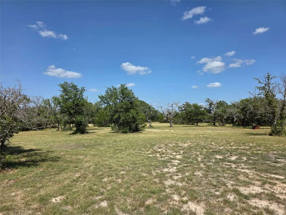 237 Oak Glen Lane Briggs, TX 78608