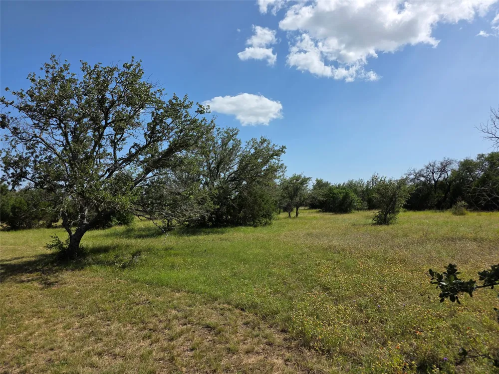 237 Oak Glen Lane Briggs, TX 78608
