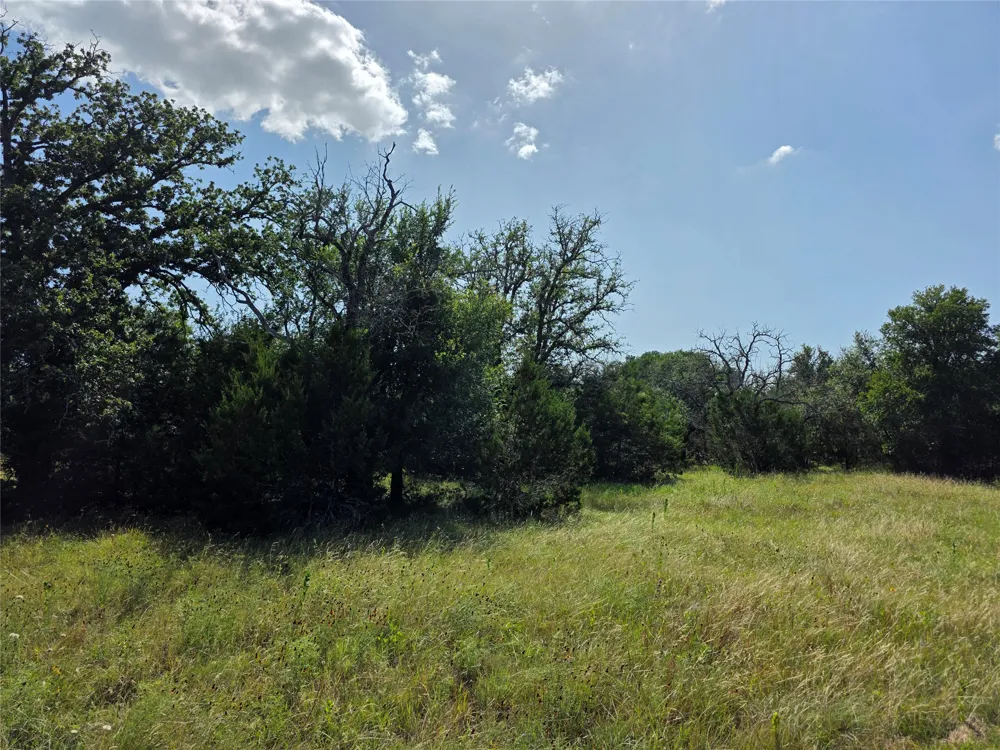 237 Oak Glen Lane Briggs, TX 78608