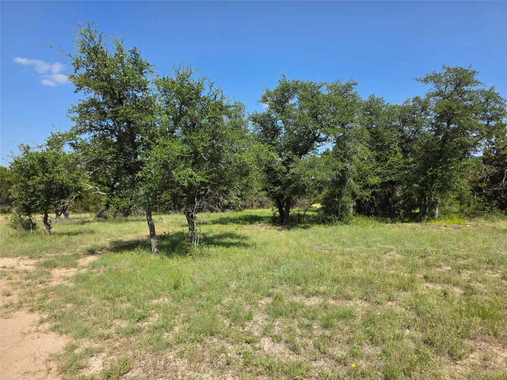 237 Oak Glen Lane Briggs, TX 78608