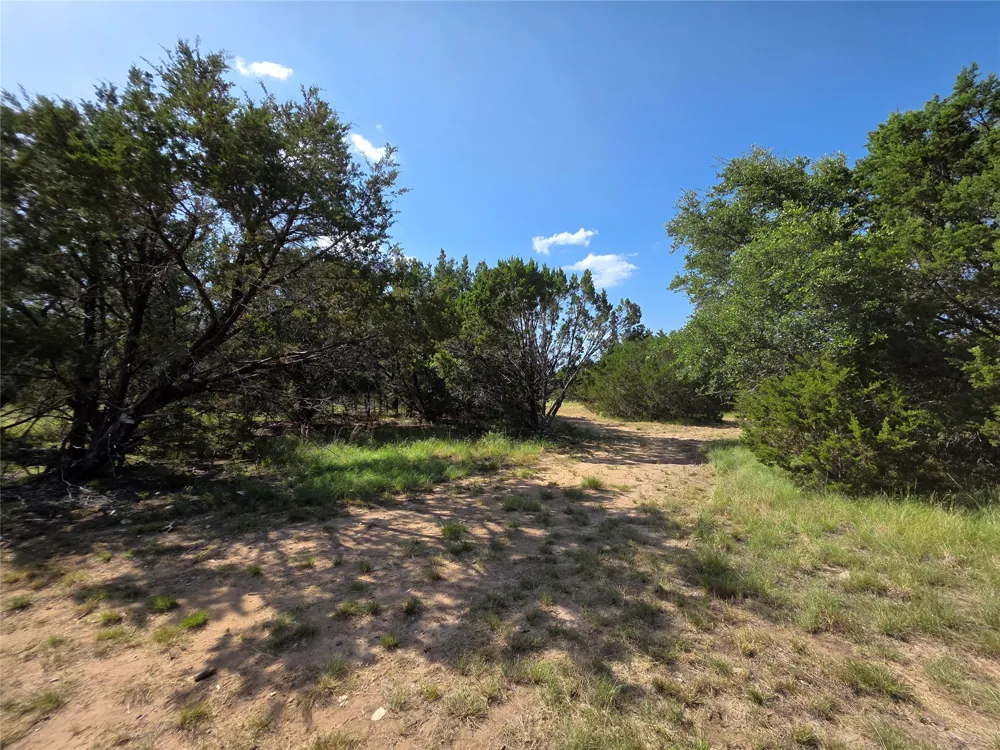 237 Oak Glen Lane Briggs, TX 78608