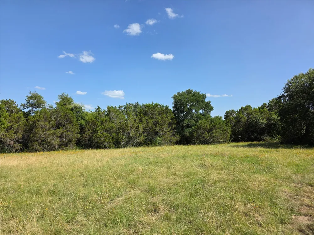 237 Oak Glen Lane Briggs, TX 78608