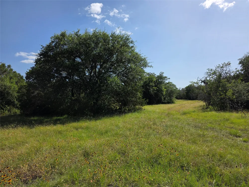 237 Oak Glen Lane Briggs, TX 78608