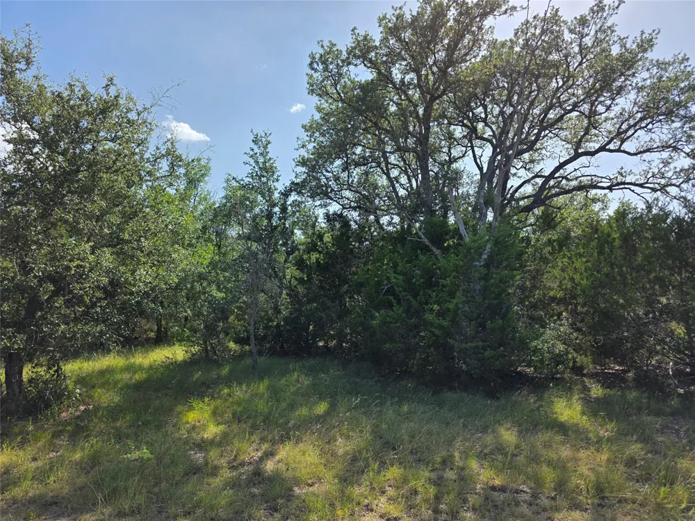 237 Oak Glen Lane Briggs, TX 78608