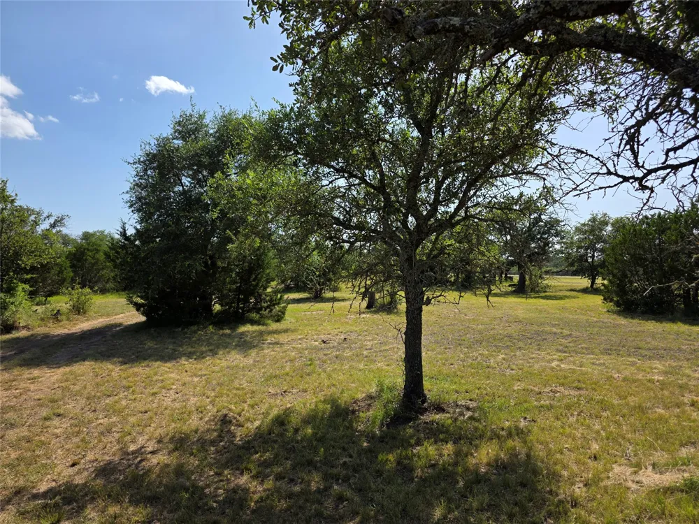 237 Oak Glen Lane Briggs, TX 78608