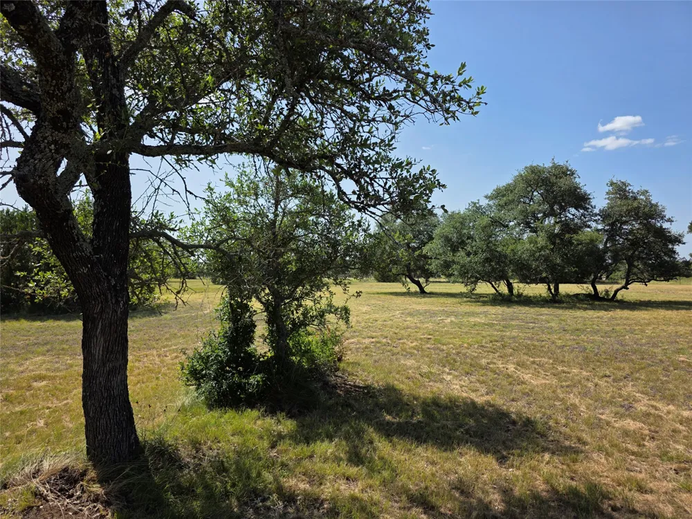 237 Oak Glen Lane Briggs, TX 78608
