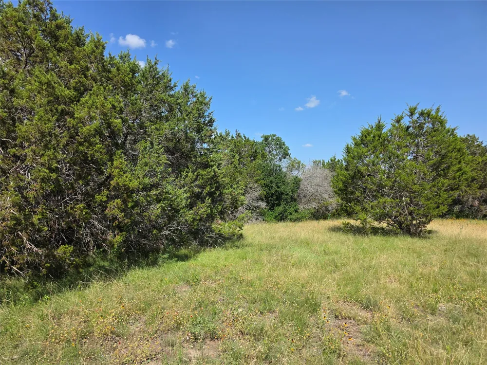237 Oak Glen Lane Briggs, TX 78608