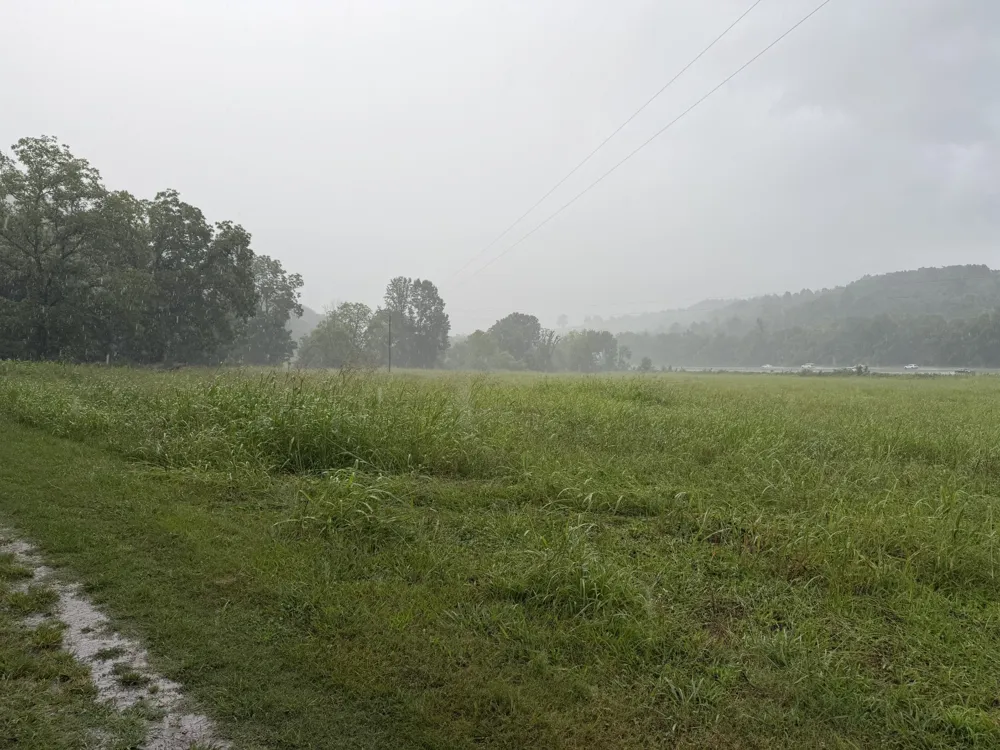 4027 Panhandle Rd Wartrace, TN 37183