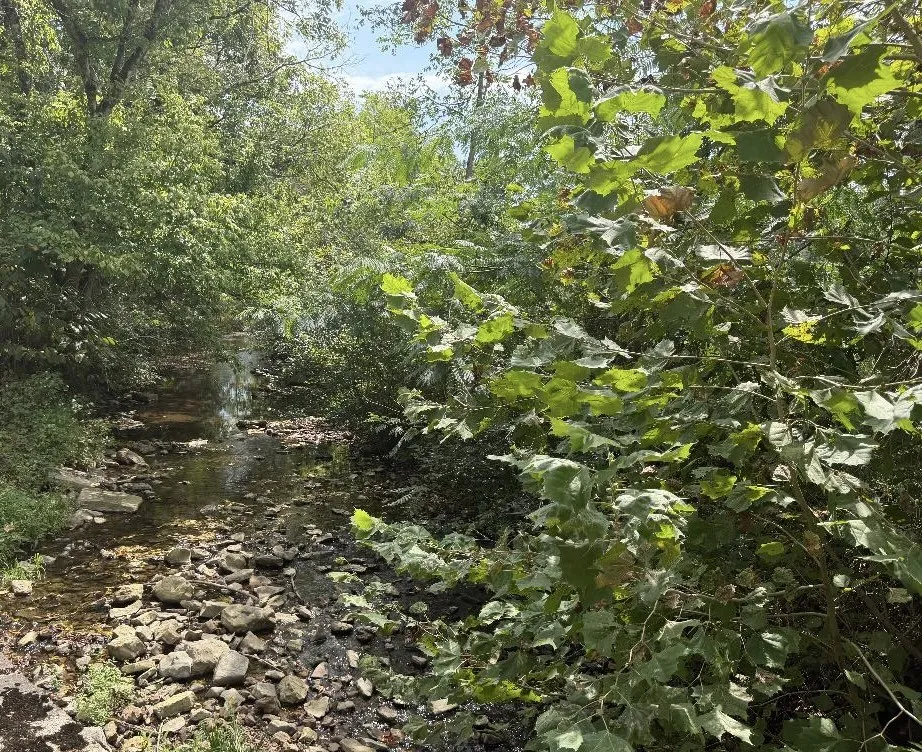 4027 Panhandle Rd Wartrace, TN 37183