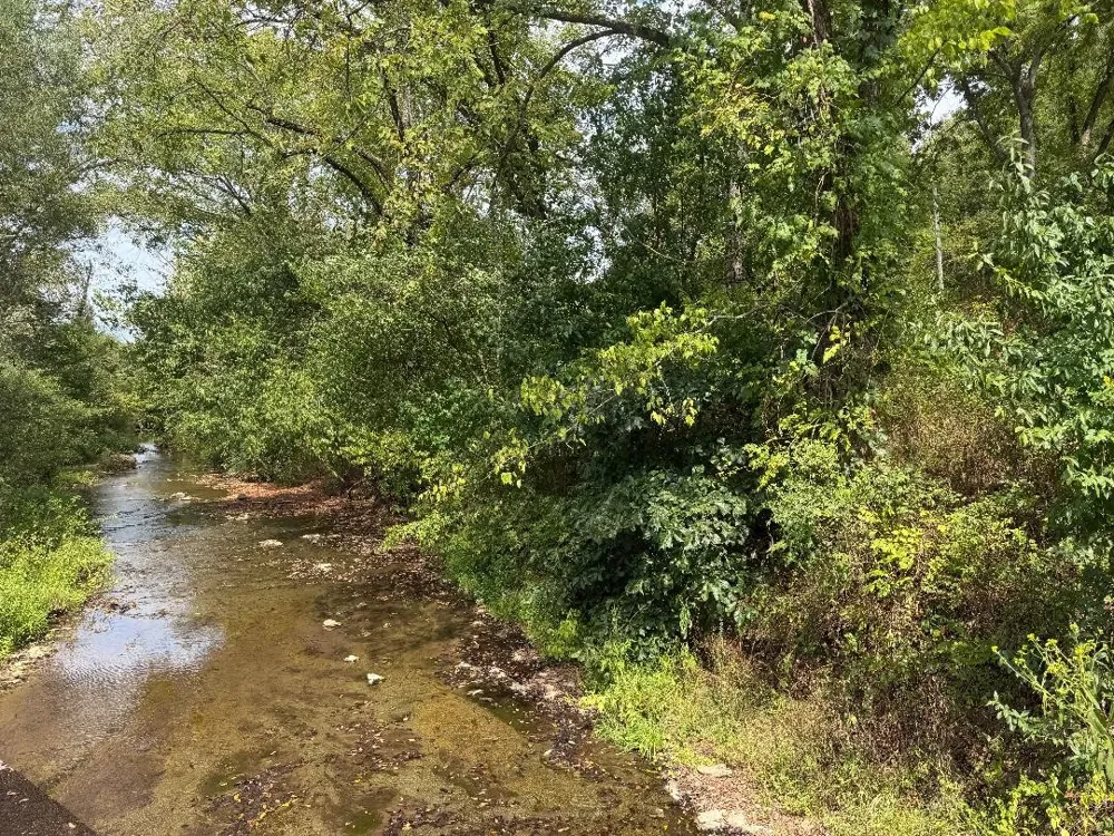 4027 Panhandle Rd Wartrace, TN 37183