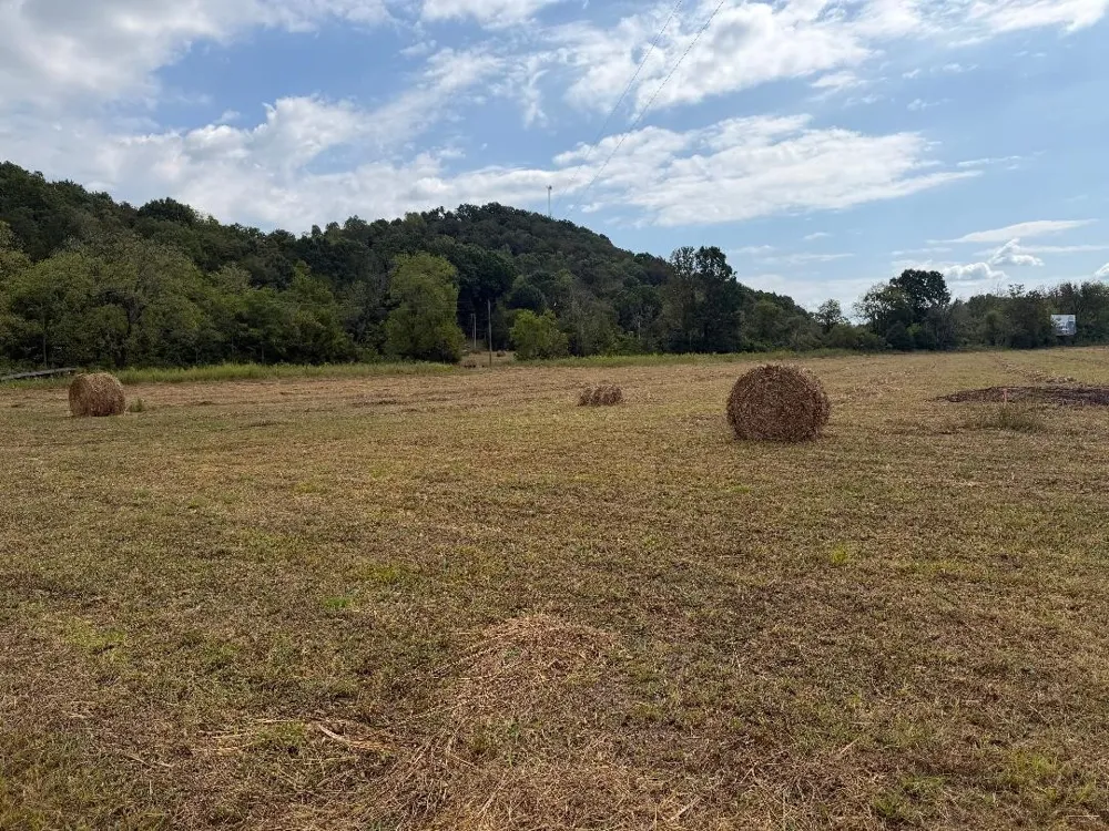 4027 Panhandle Rd Wartrace, TN 37183