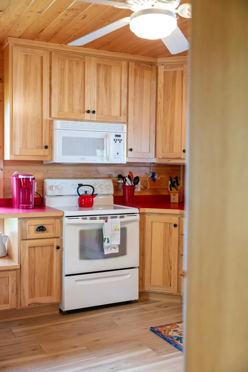 22548 Senns Beach Drive Detroit Lakes, MN 56501