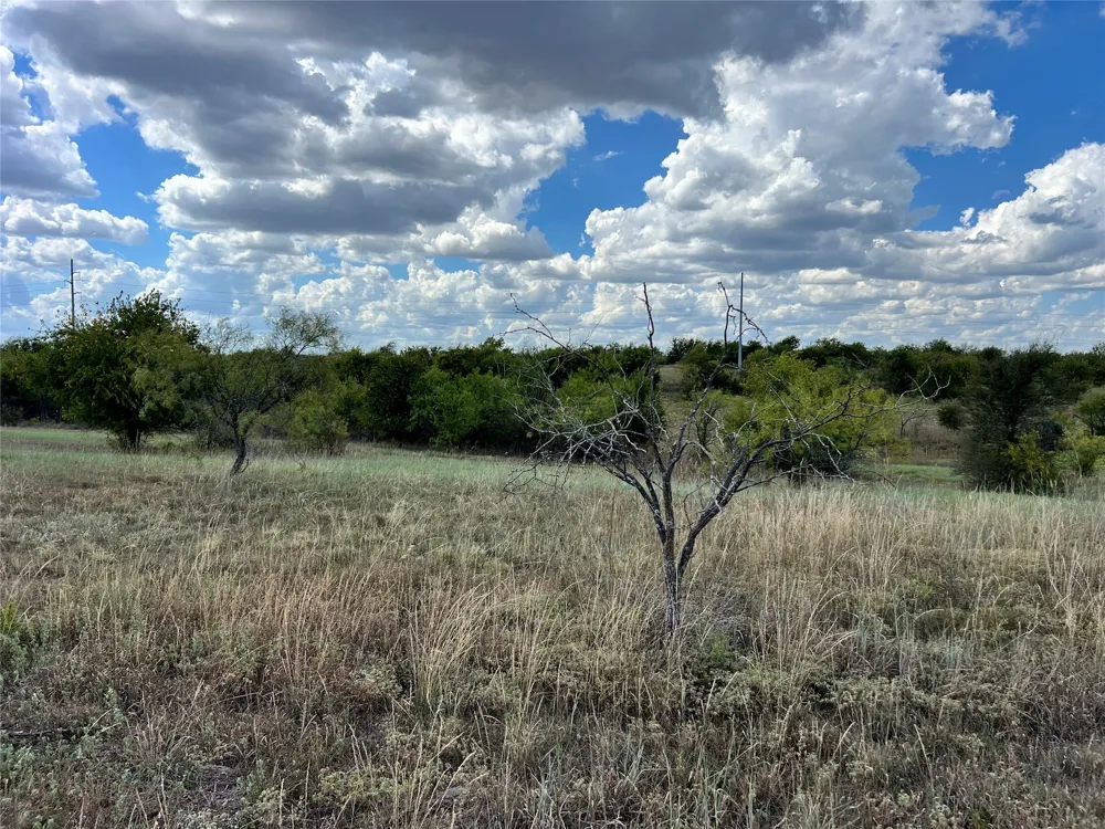 4076 Grizzly Trail Aledo, TX 76008