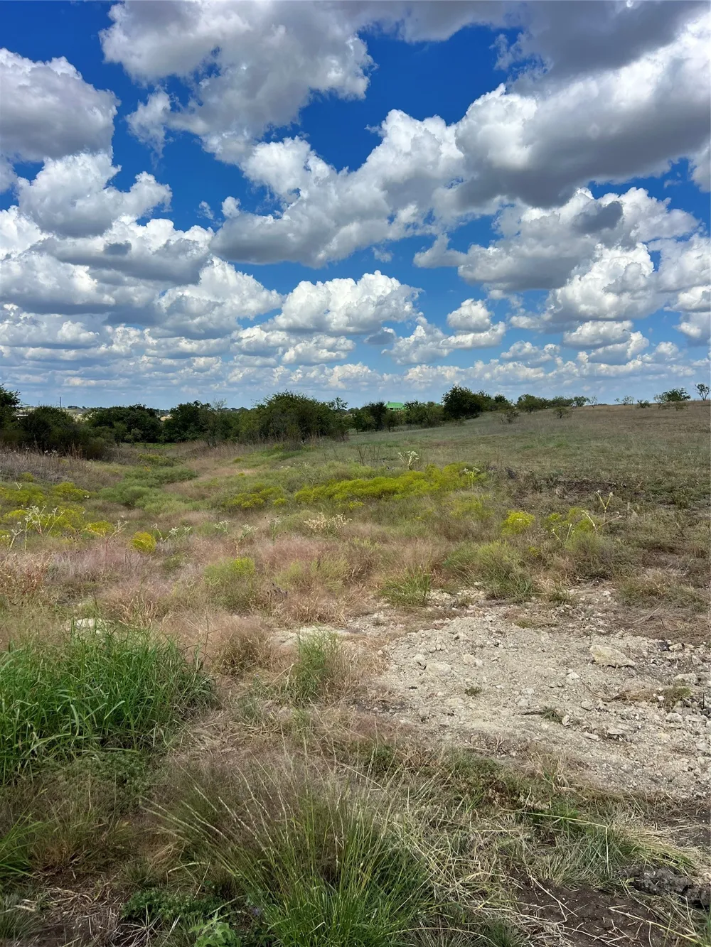 4076 Grizzly Trail Aledo, TX 76008
