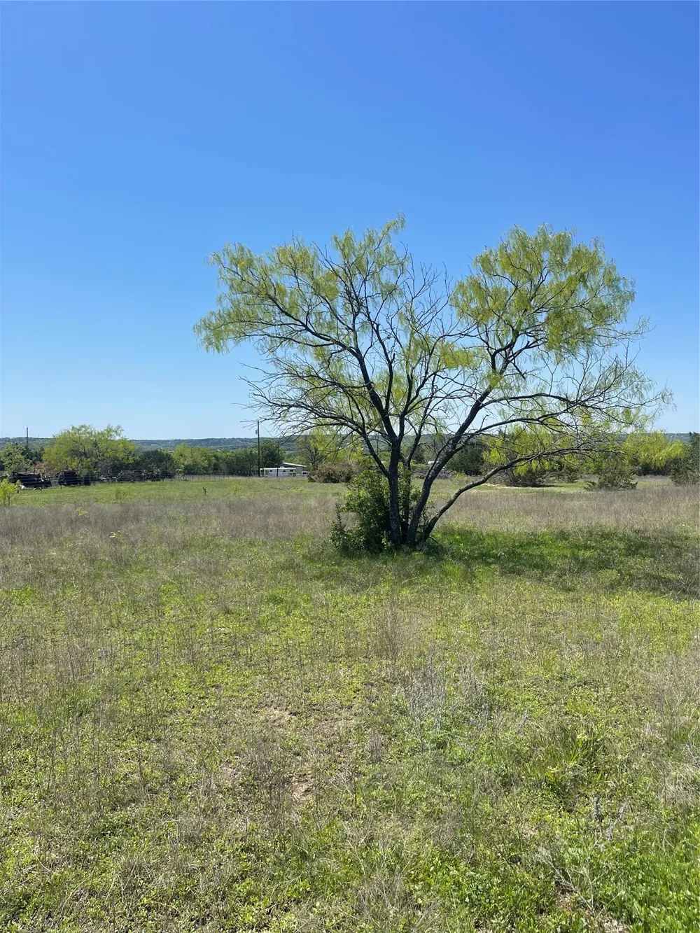 Broadway Street Meridian, TX 76665