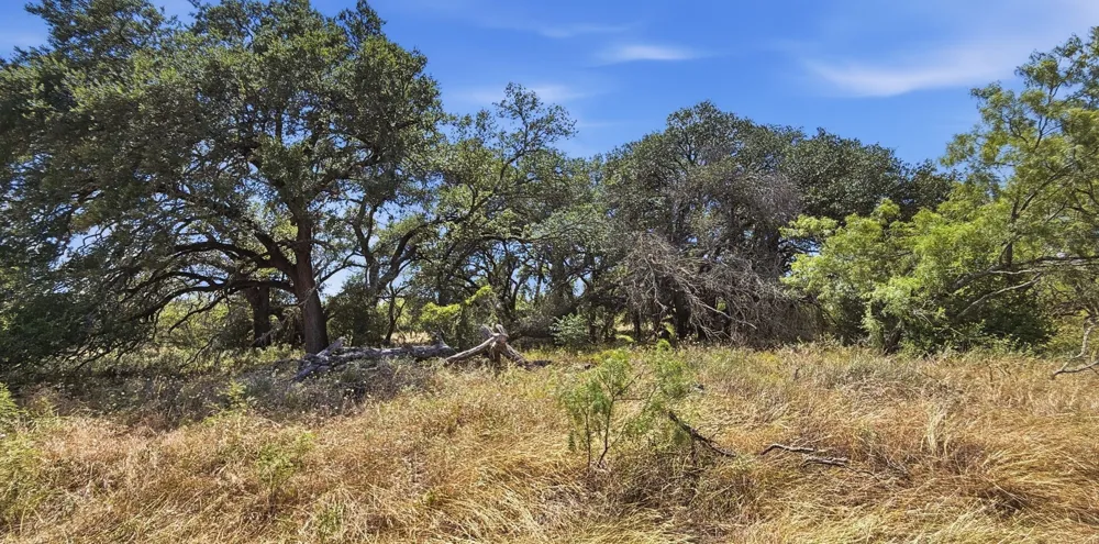 895 PR 202 150A Hamilton, TX 76531