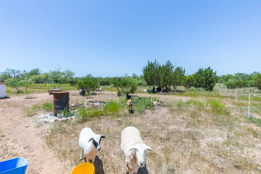 132 Anderson Road Wingate, TX 79566